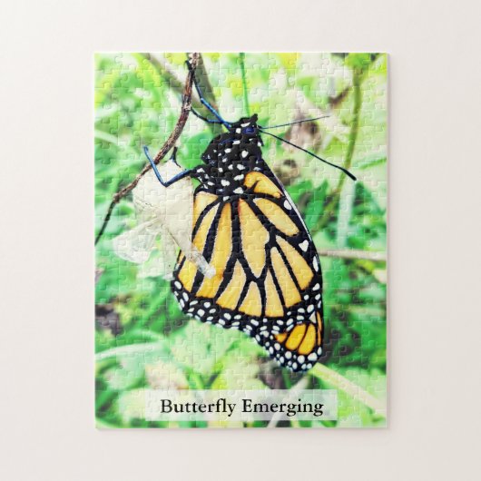Puzzle Papillon Monarch en Éclosion 252Pcs (Vertical)