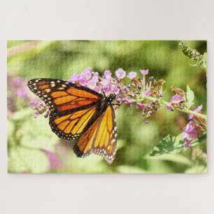Puzzle Papillon monarque