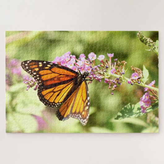 Puzzle Papillon monarque (Horizontal)
