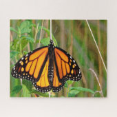 Puzzle Papillon Monarque. (Horizontal)