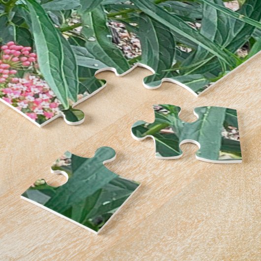 Puzzle Papillon Monarque sur Milkweed (Côté)