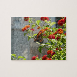 Puzzle Papillon Monarque sur un Buddleia Rouge