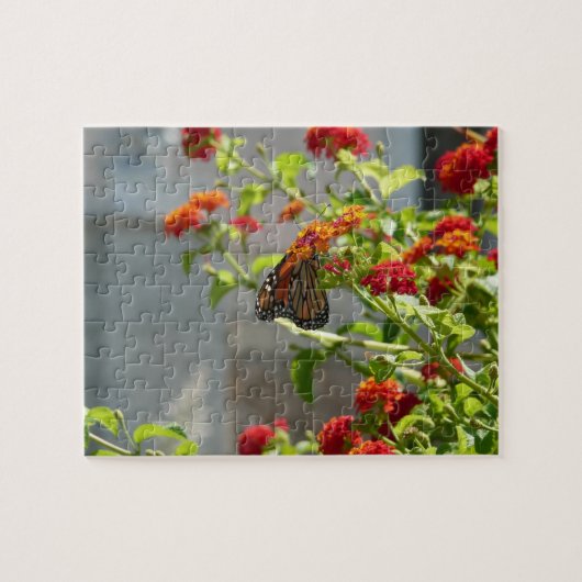 Puzzle Papillon Monarque sur un Buddleia Rouge (Horizontal)
