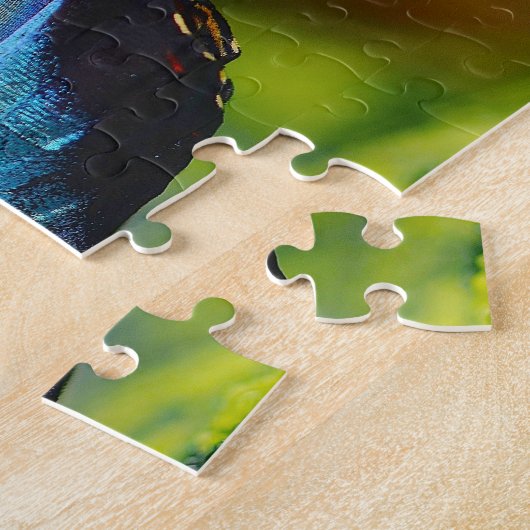 Puzzle Papillon Morpho Peleides. (Côté)