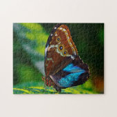Puzzle Papillon Morpho Peleides. (Horizontal)