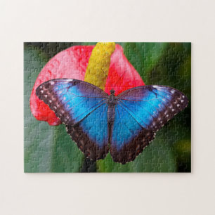 Puzzle Papillon Morphofalter Bleu.