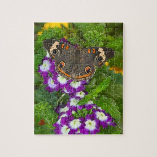 Puzzle Papillon noir à queue fourchue (Vertical)