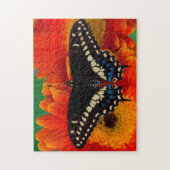 Puzzle Papillon noir à queue fourchue sur une marguerite  (Vertical)