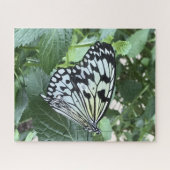 Puzzle Papillon noir blanc (Horizontal)