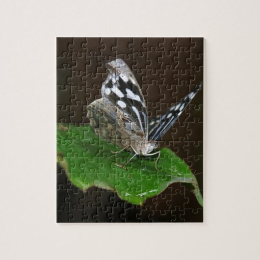 Puzzle Papillon noir et blanc (Vertical)