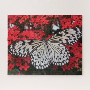 Puzzle Papillon noir et blanc dans la fleur rouge Bush