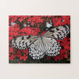 Puzzle Papillon noir et blanc dans la fleur rouge Bush