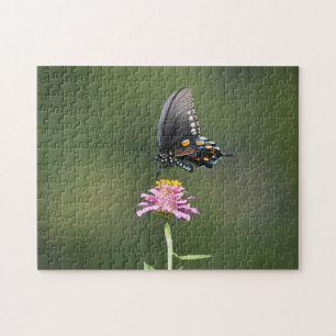 Puzzle Papillon noir et bleu sur fleur rose dans la natur