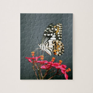 Puzzle Papillon noir et jaune blanc sur Fleurs roses
