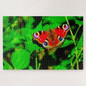 Puzzle Papillon paon. (Horizontal)