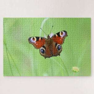 Puzzle Papillon Paon