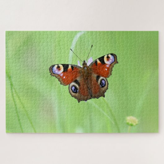Puzzle Papillon Paon (Horizontal)