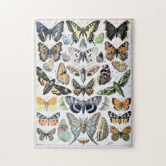 Puzzle Papillon papillon vintage Ancien art d'illustratio