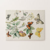 Puzzle Papillon papillon vintage Ancien art d'illustratio (Horizontal)