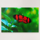 Puzzle Papillon Passion. (Horizontal)