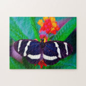 Puzzle Papillon Passion. (Horizontal)