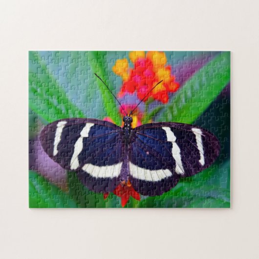 Puzzle Papillon Passion. (Horizontal)