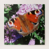 Puzzle Papillon Peacock Sur Bouddleia Mauve (Horizontal)
