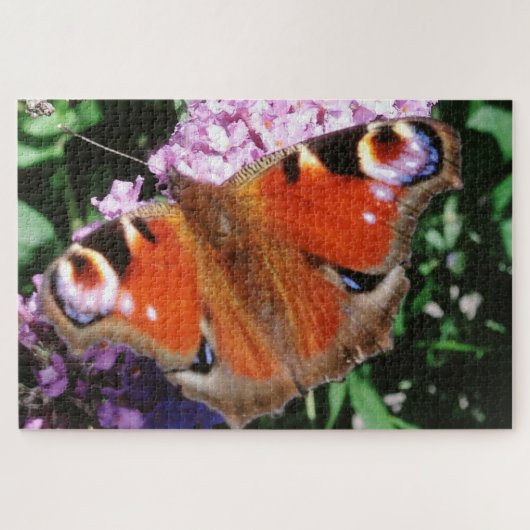 Puzzle Papillon Peacock Sur Bouddleia Mauve 20 x 30 1014 (Horizontal)