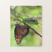Puzzle Papillon Queen et chenille Monarque (Vertical)
