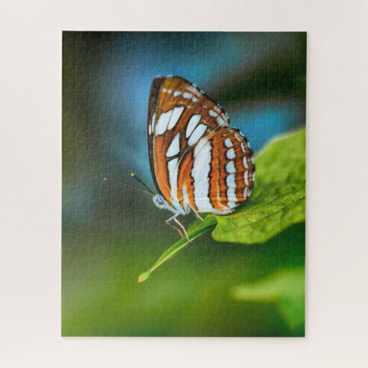 Puzzle Papillon rayé blanc et orange (Vertical)