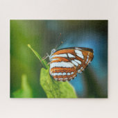 Puzzle Papillon rayé blanc et orange (Horizontal)