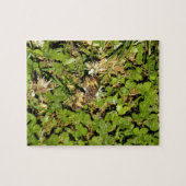 Puzzle Papillon sur feuilles (Horizontal)