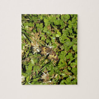 Puzzle Papillon sur feuilles