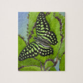 Puzzle Papillon sur fond vert (Vertical)