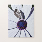 Puzzle Papillon sur la marguerite blanche | Difficile (Vertical)