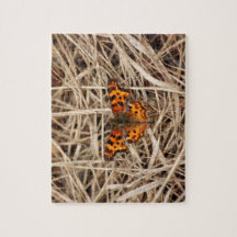 Papillon sur la paille