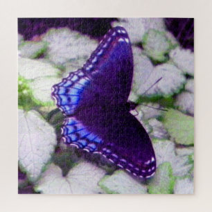 Puzzle Papillon sur lamium de balise d'argent