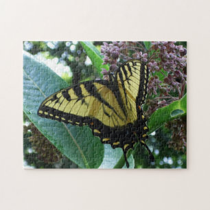 Puzzle Papillon Swallowtail I sur Milkweed à Shenandoah