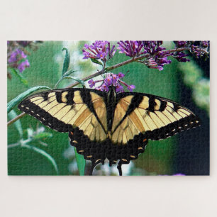 Puzzle Papillon tigre de l'Est.