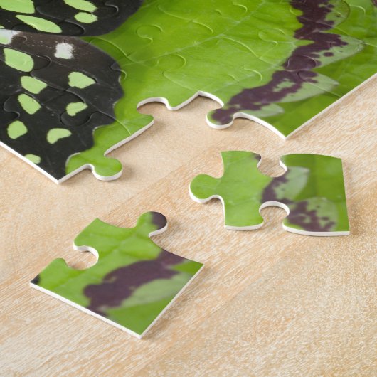 Puzzle Papillon vert (Côté)