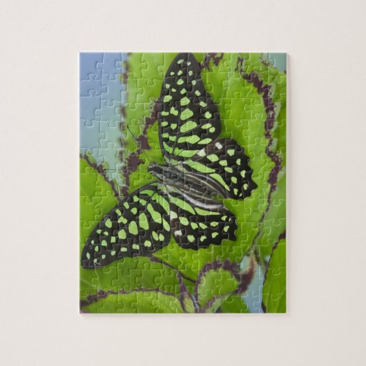 Puzzle Papillon vert (Vertical)