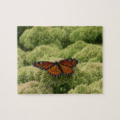 Puzzle Papillon Viceroy Belle photographie de la nature (Horizontal)