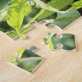 Puzzle Papillons à queue épaisse sur buisson papillon (Côté)
