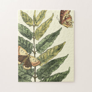 Puzzle Papillons et feuille avec le cadre noir