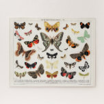 Puzzle Papillons et papillons de nuit d'antiquité Illustr<br><div class="desc">Antique papillon et papillon Lithographie Original Antique Insect Imprimer par un artiste inconnu (1894),  un collage de papillons et de papillons de nuit magnifiquement colorés. Top dit schmetterlinge en allemand.</div>