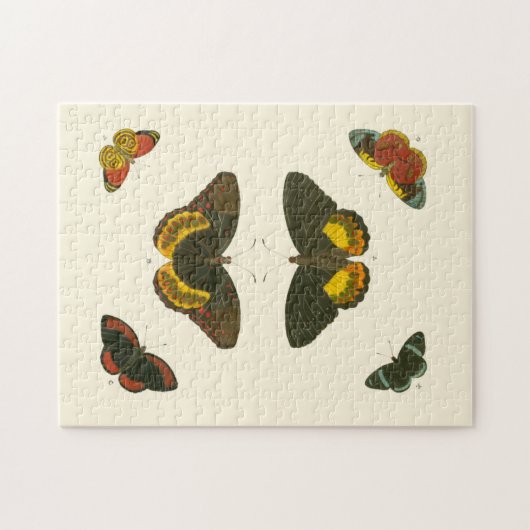 Puzzle Papillons lumineux par Pieter Cramer (Horizontal)