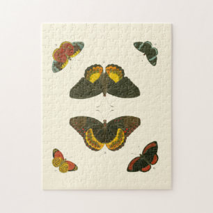 Puzzle Papillons lumineux par Pieter Cramer