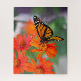 Puzzle Papillons - Monarque papillon