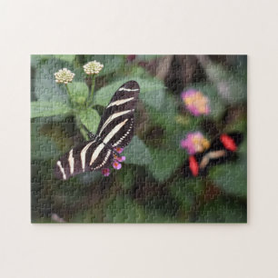 Puzzle Papillons papillons Nature Photographie Jardin