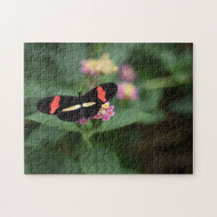 Puzzle Papillons papillons Nature Photographie Jardin